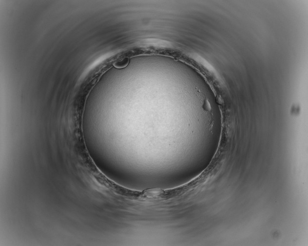 X0000102391112200808011553