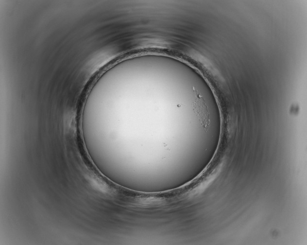 X0000102391113200808011553