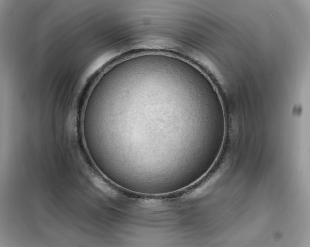 X0000102391114200808011553