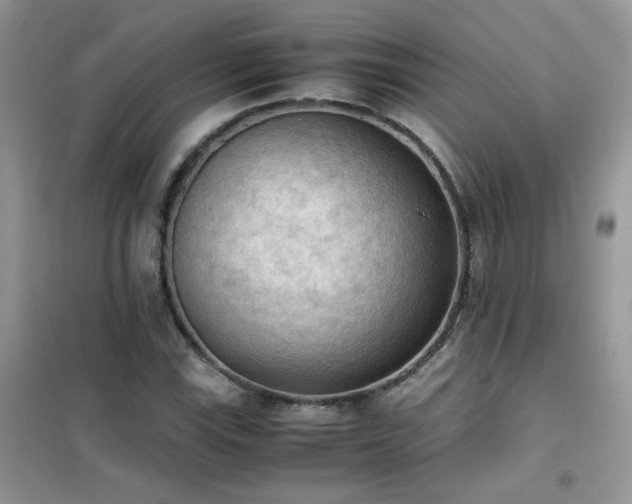 X0000102391115200808011553