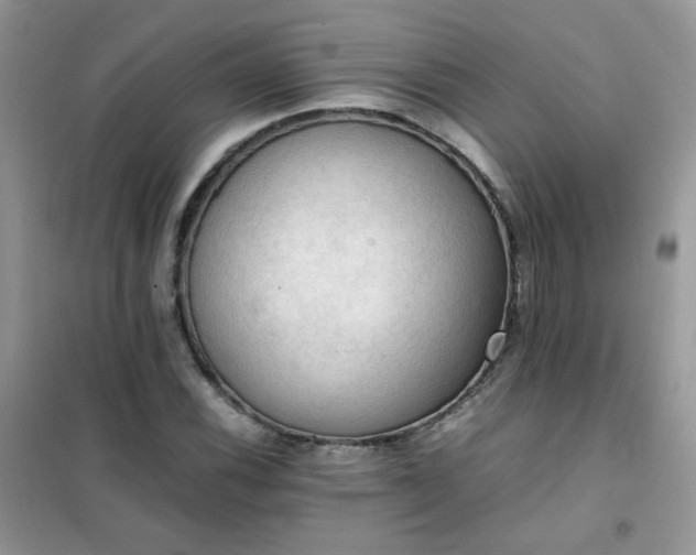 X0000102391116200808011553