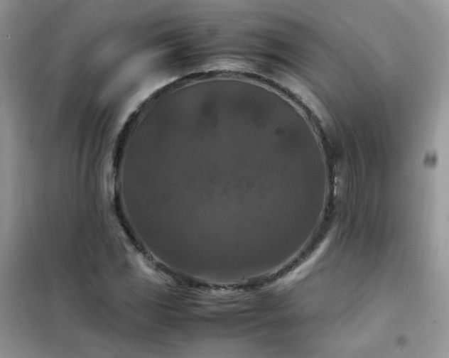 X0000102391117200808011553