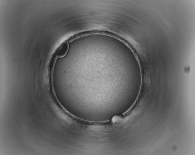 X0000102391118200808011553