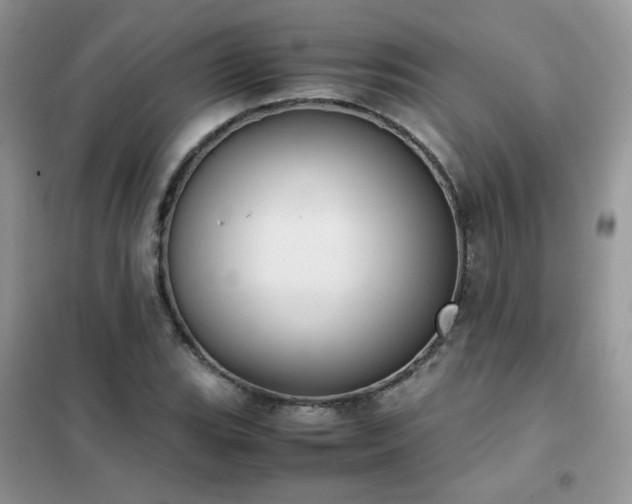 X0000102391119200808011553