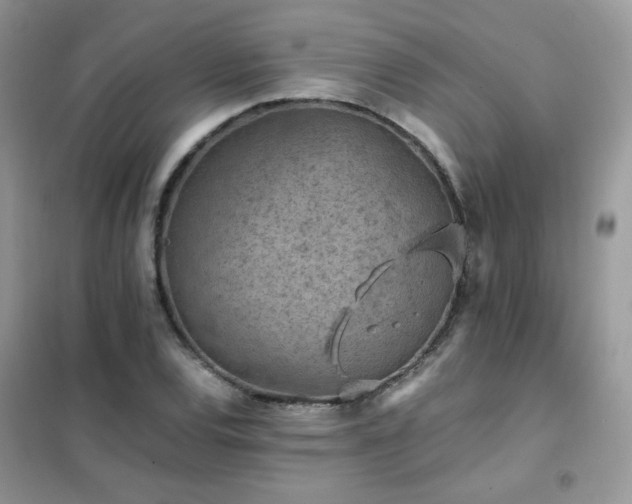 X0000102391120200808011553