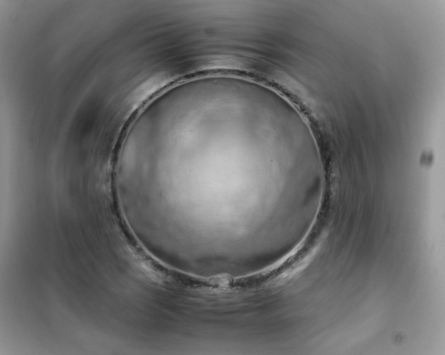 X0000102391121200808011553