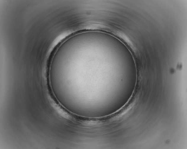 X0000102391122200808011553