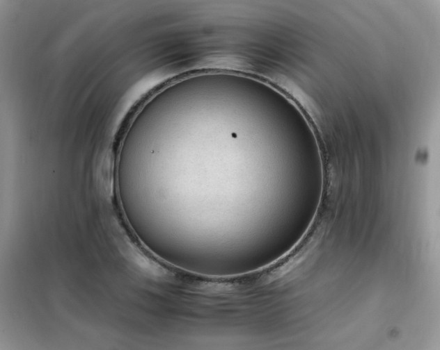 X0000102391123200808011553