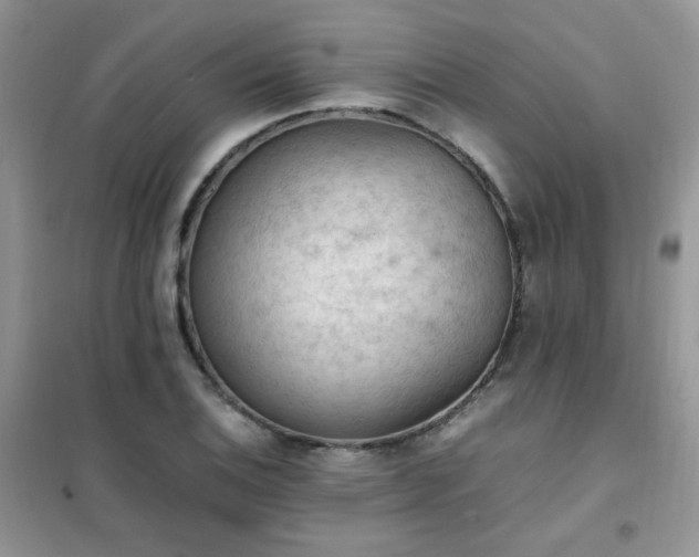 X0000102391124200808011553