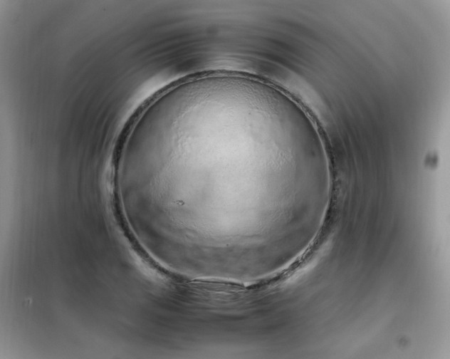 X0000102391125200808011553