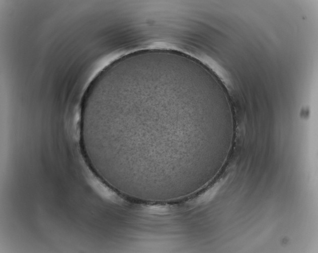 X0000102391126200808011553