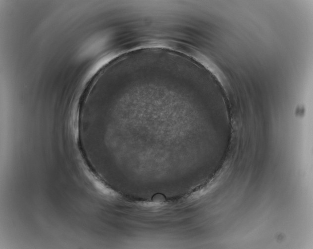 X0000102391127200808011554