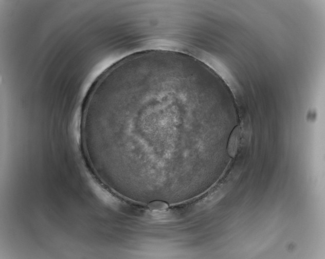 X0000102391128200808011554