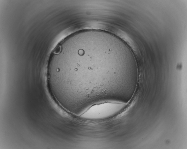 X0000102391130200808011554