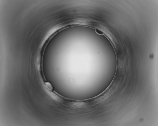 X0000102391131200808011554