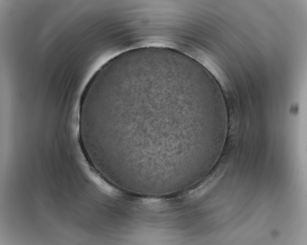 X0000102391132200808011554