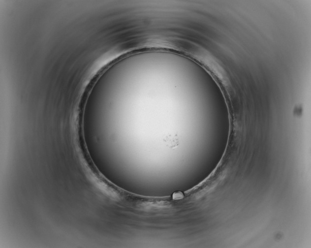 X0000102391133200808011554