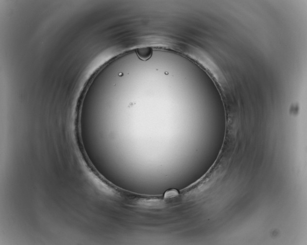 X0000102391135200808011554