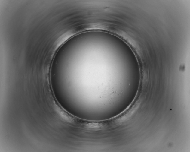 X0000102391137200808011554