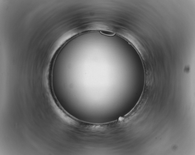 X0000102391139200808011554