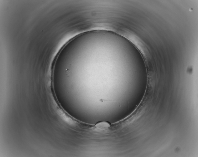 X0000102391140200808011554