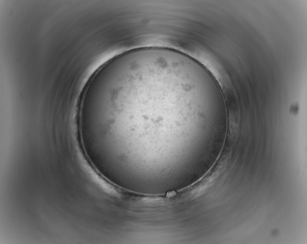 X0000102391142200808011554