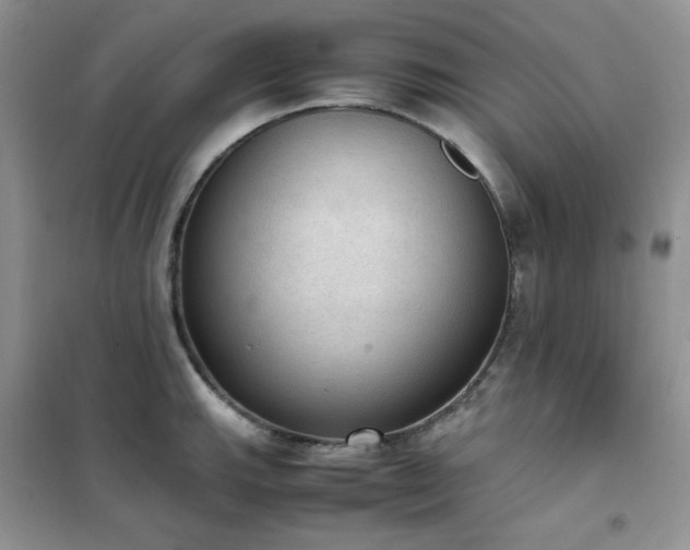 X0000102391143200808011554