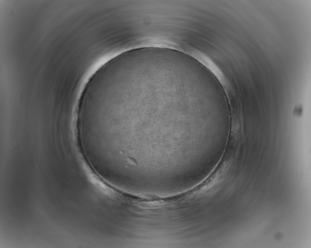 X0000102391144200808011554