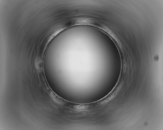 X0000102391145200808011554