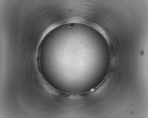 X0000102391146200808011554