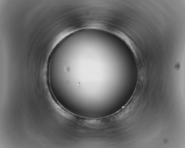 X0000102391147200808011554