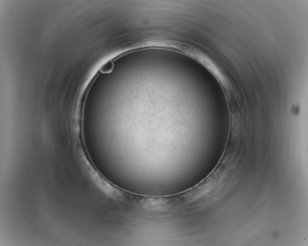 X0000102391148200808011554