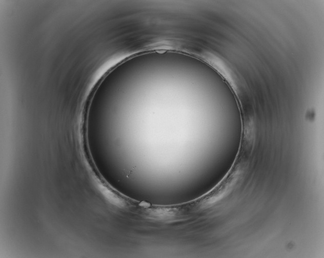 X0000102391149200808011554