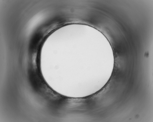 X0000102391150200808011554