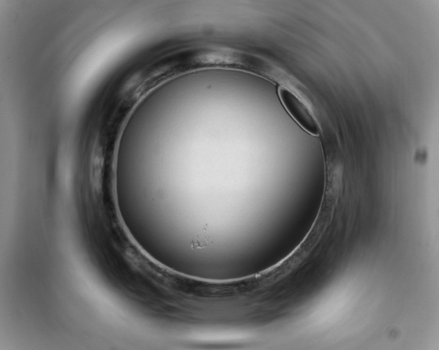 X0000102391151200808011554