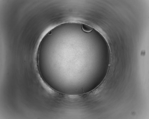 X0000102391152200808011554