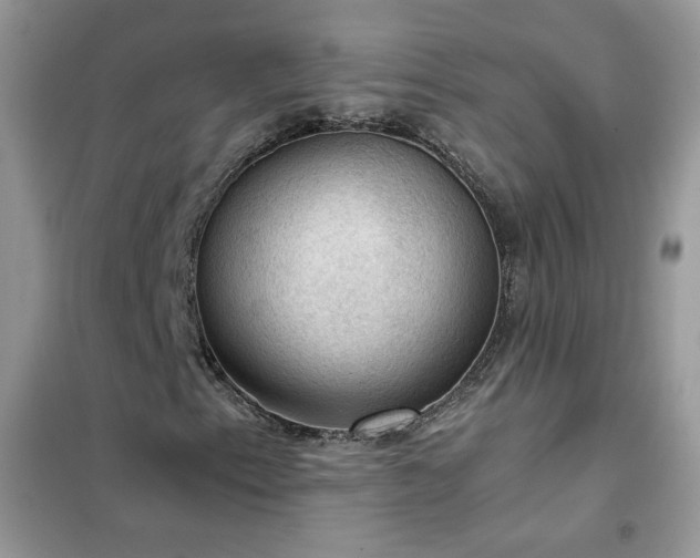 X0000102391153200808011553