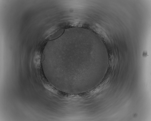 X0000102391154200808011553