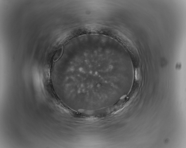 X0000102391155200808011553