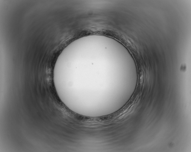 X0000102391156200808011553