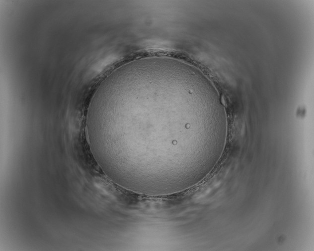 X0000102391157200808011553