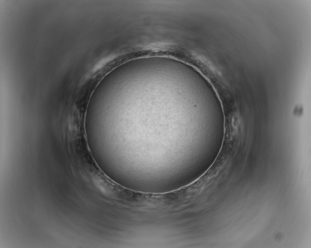 X0000102391158200808011553