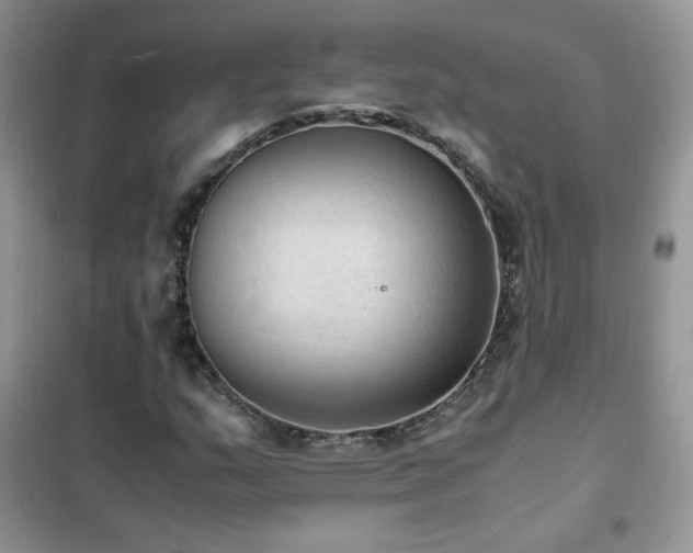 X0000102391159200808011553