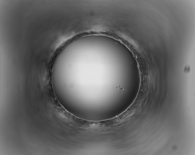 X0000102391160200808011553