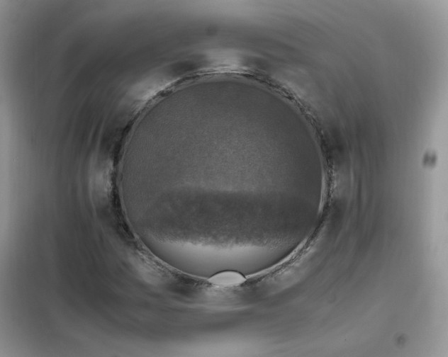 X0000102391161200808011553