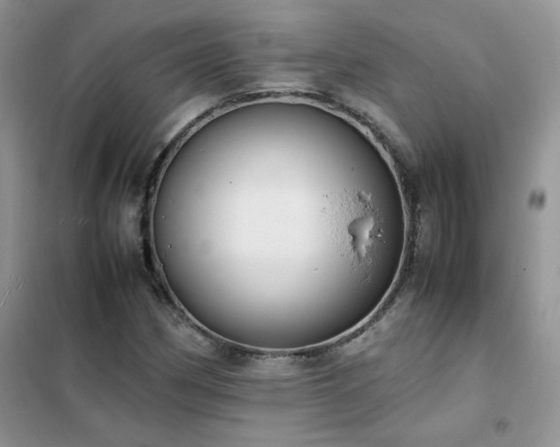 X0000102391162200808011553