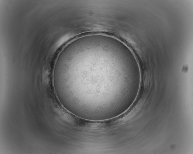 X0000102391163200808011553