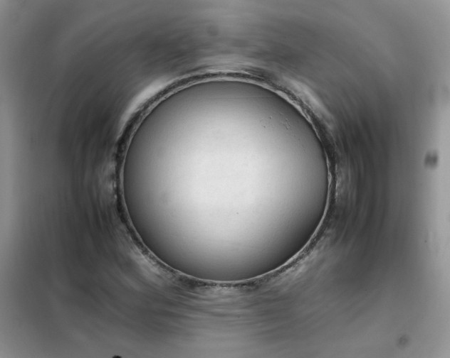 X0000102391164200808011553