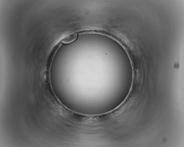 X0000102391165200808011553