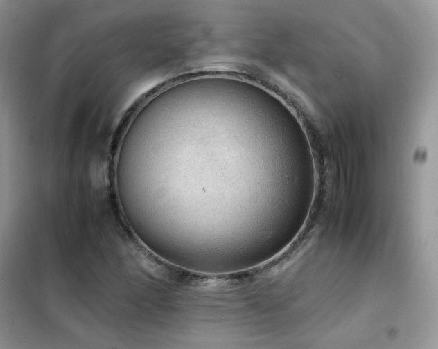 X0000102391166200808011553